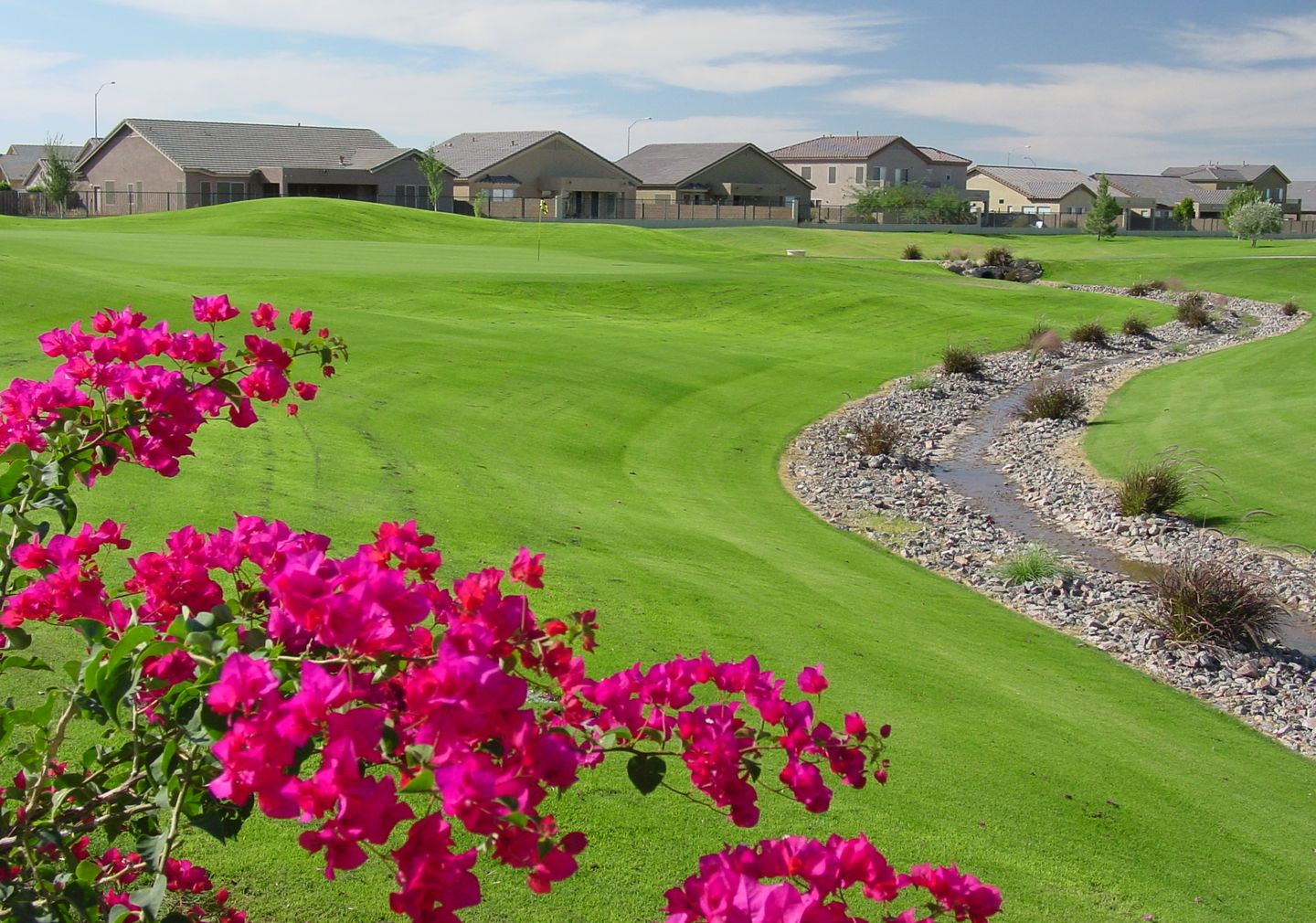 The Perfect Golf Course in Mesa Arizona